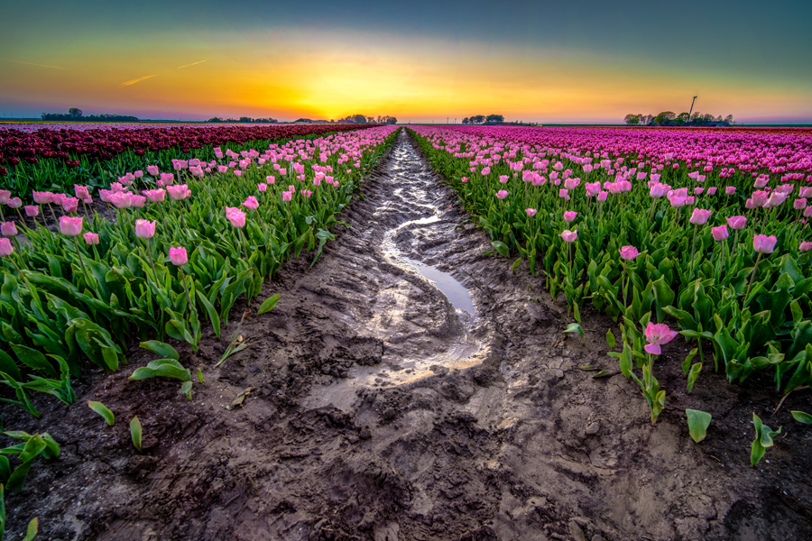 El lugar más maravilloso de la tierra